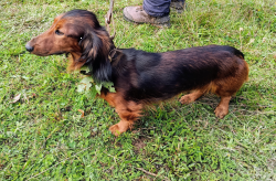 IMG 20250927 1020102 S